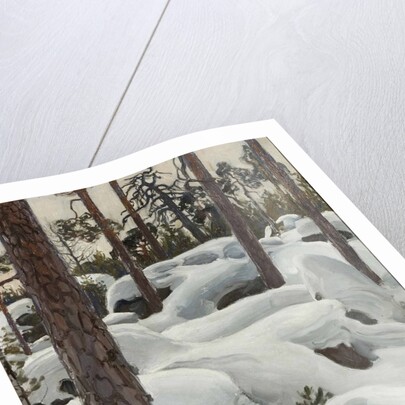 The Lair of the Lynx, 1908 by Anonymous