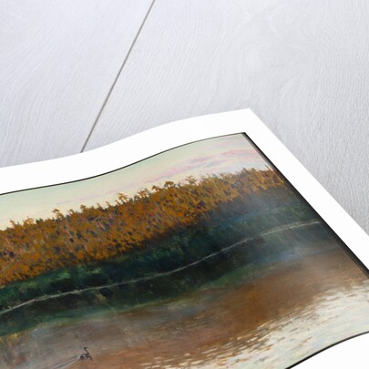 Landscape in Kuhmo, 1890 by Anonymous