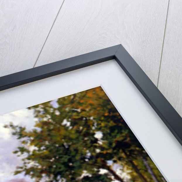 The summer stroll, 1873 by Anonymous