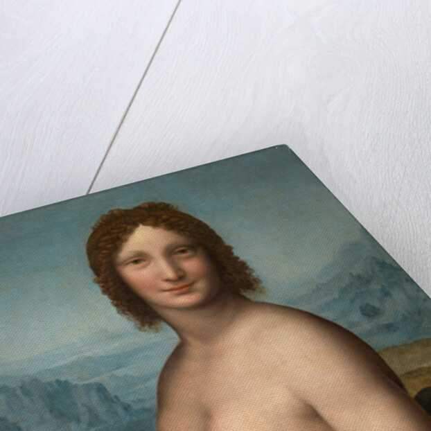 Nude Woman (Monna Vanna), Second decade of the 16th century by Anonymous