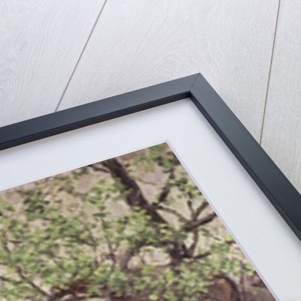 Boulevard Seen from Above, 1880 by Anonymous