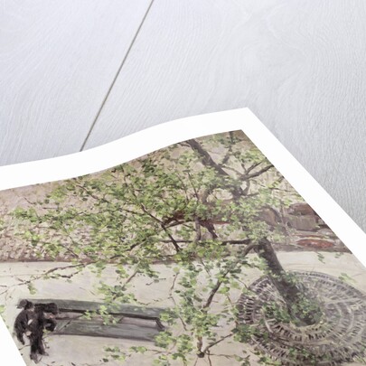 Boulevard Seen from Above, 1880 by Anonymous