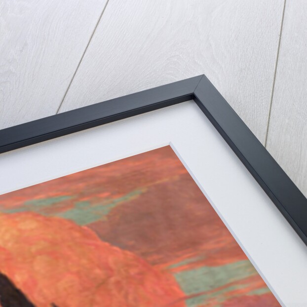 The Mysterious Island (Lisola misteriosa), 1917 by Anonymous