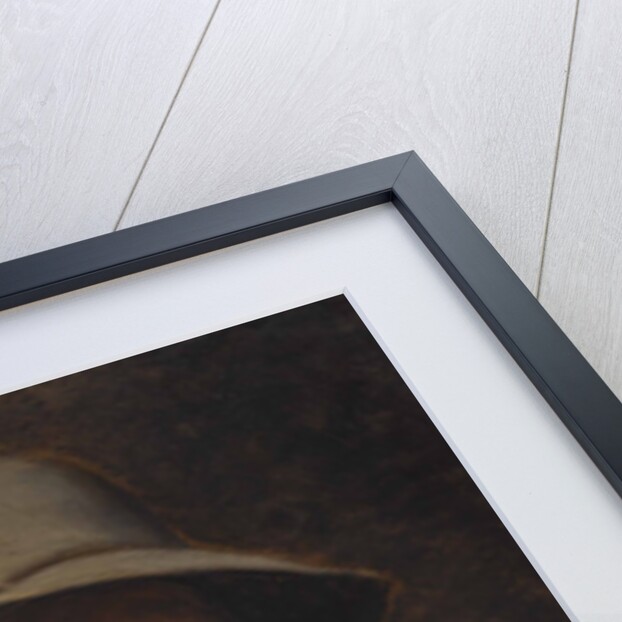 Portrait of the writer Paul Heyse, 1849 by Anonymous