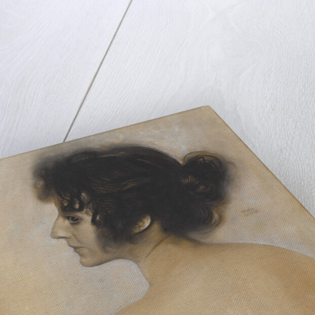 Female Portrait, ca 1894 by Anonymous