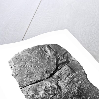 The Tower of Babel Stele, 604-562 BC by Anonymous