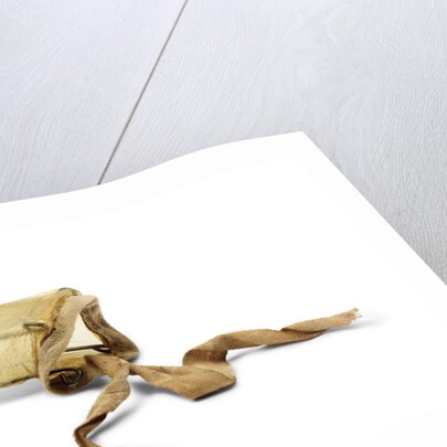 Condom made from sheep intestine, c. 1800 by Anonymous