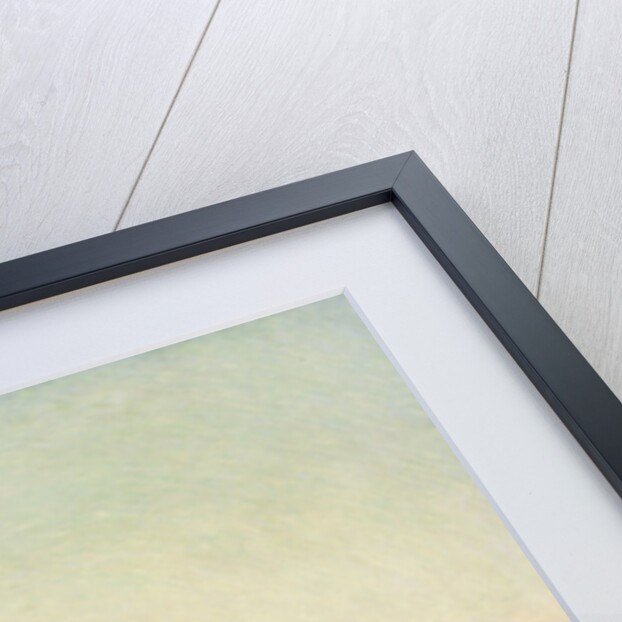 Ave Maria a trasbordo (Ave Maria at the Crossing), 1886 by Anonymous