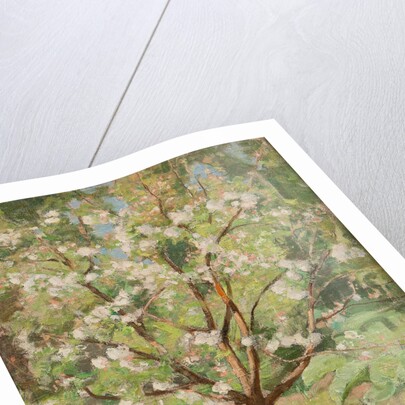 Blooming apple tree, 1924 by Anonymous