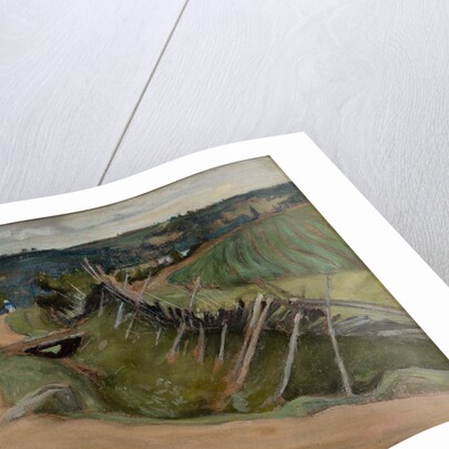 Landscape of Sortavala, 1901 by Anonymous