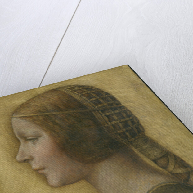La Bella Principessa, c. 1496 by Anonymous