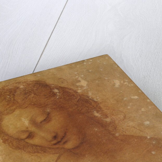 Head of Leda, c. 1510 by Anonymous