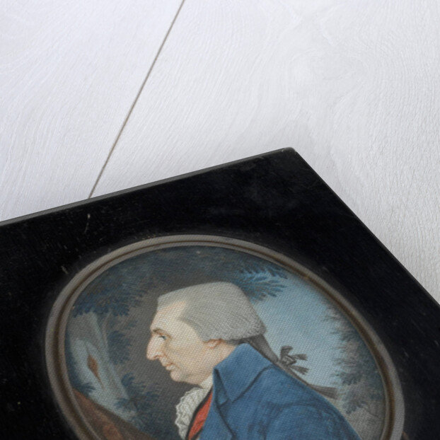 Portrait of Prince Grigory Ivanovich Vyazemsky (?-1805), 1800 by Anonymous