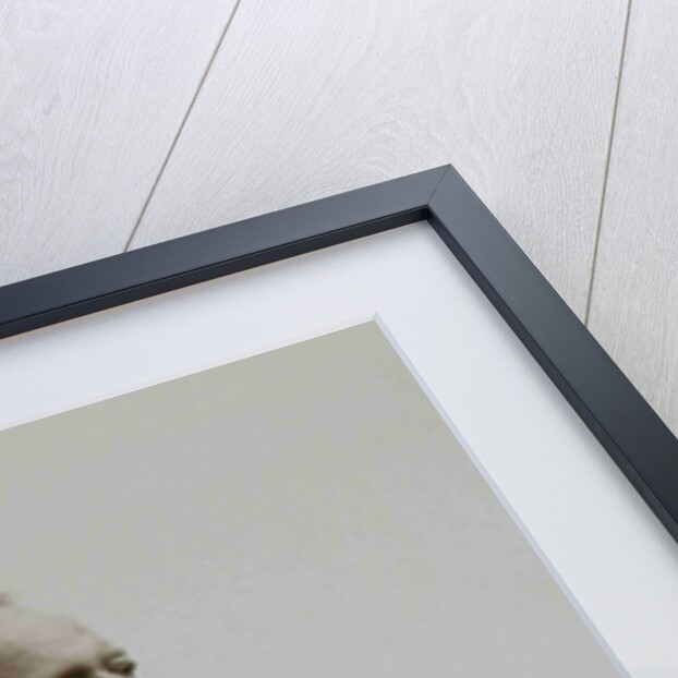 Pyotr Ilyich Tchaikovsky in the academic dress of the University of Cambridge, 1893 by Anonymous