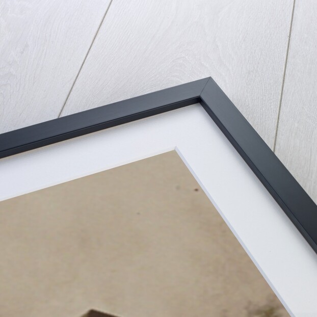 Nikolay Figner as Lensky in opera Eugene Onegin by Pyotr Tchaikovsky, 1880s by Anonymous