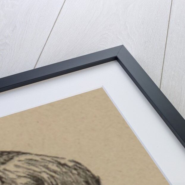 Marius Petipa Portrait from the Program to Oper Tannhäuser by Richard Wagner. Paris, Thé by Anonymous