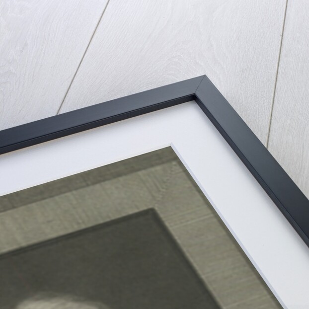 Portrait of Christian Friedrich Daniel Schubart, 1790 by Anonymous