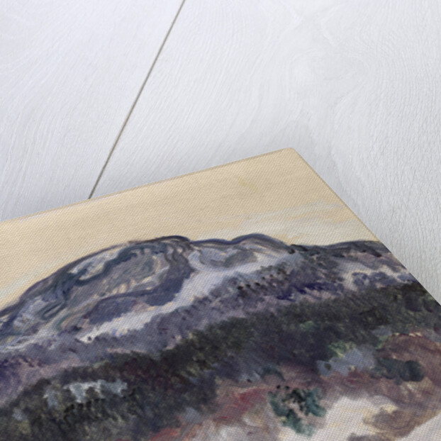 Mount Kolsaas, 1895 by Anonymous