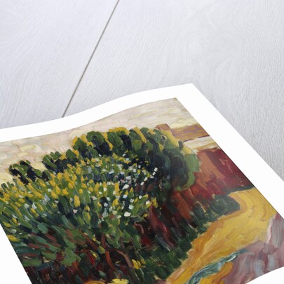 Landscape near Carantec with a woman, 1905-1906 by Anonymous