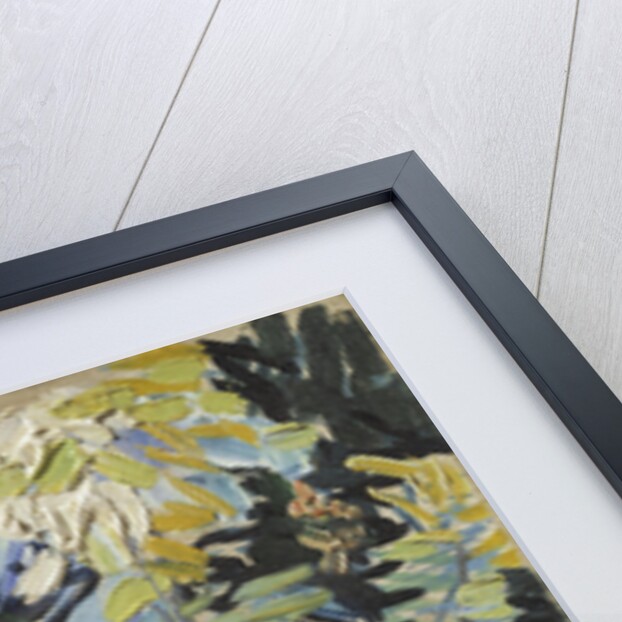 Acacia Flowering by Anonymous