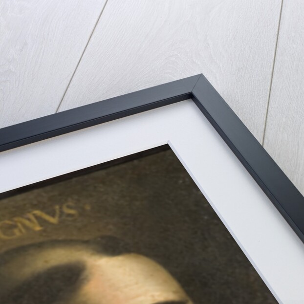 Albertus Magnus by Anonymous