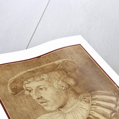 Portrait of Emperor Ferdinand I, 1531 by Anonymous