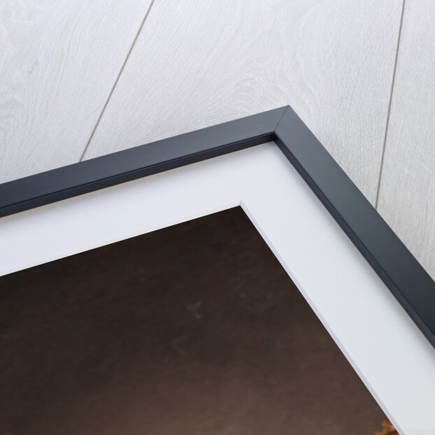 A woman pulling up her stocking, 1798 by Anonymous