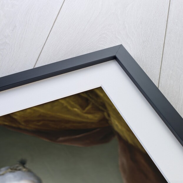 Archduchess Maria Josepha of Austria, ca 1767 by Anonymous