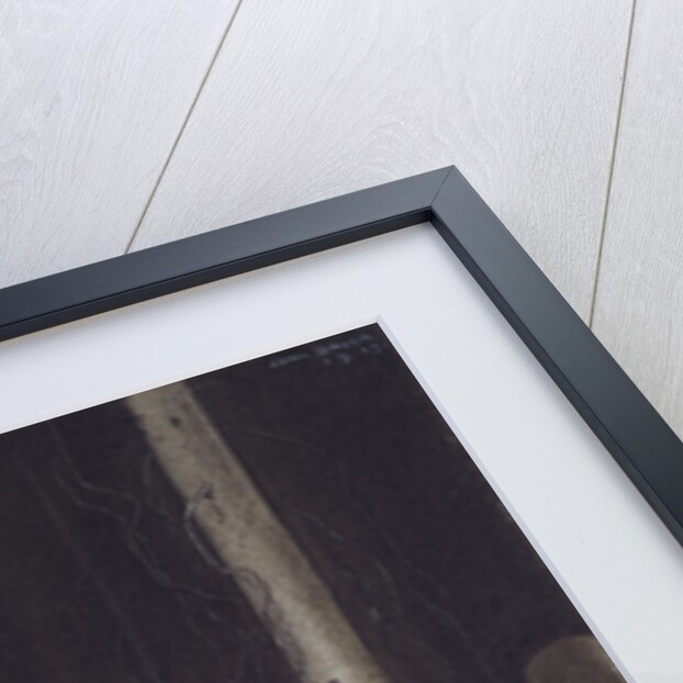 Brother Martin and Three Trolls, 1913 by Anonymous