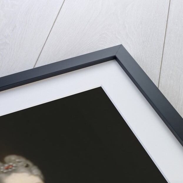 Portrait of Infanta Mariana Victoria of Spain, Queen of Portugal by Anonymous