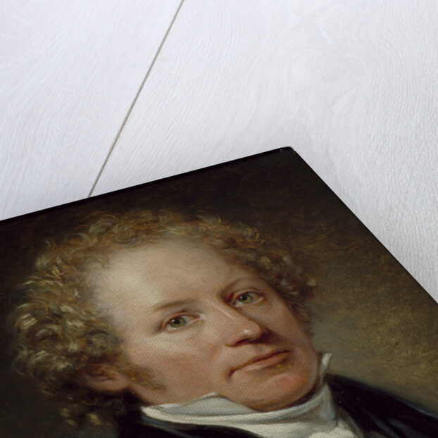 Portrait of Per Daniel Amadeus Atterbom, 1831 by Anonymous