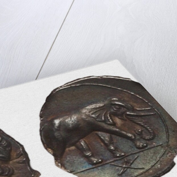 Coin of Hannibal Barca. Carthage. (Obverse: Hannibal, Reverse: Elephant), ca. 213-210 BC by Anonymous