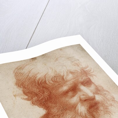 Bearded mans head, c. 1525 by Anonymous