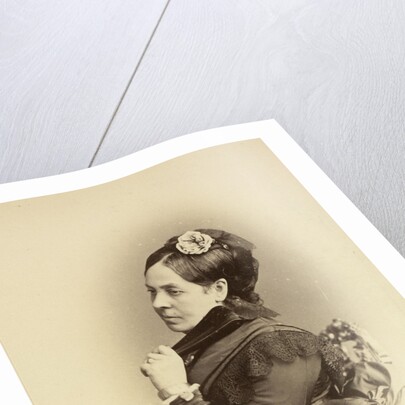 Portrait of Countess Sophia Andreevna Tolstaya, c. 1874 by Anonymous