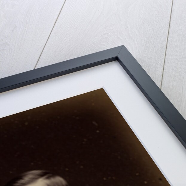 Portrait of Grand Duke Vyacheslav Constantinovich of Russia, 1874 by Anonymous