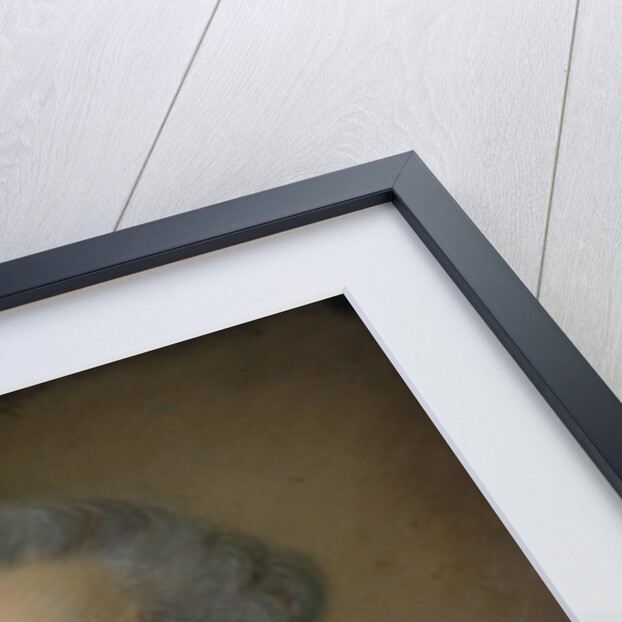 Abel-François Poisson de Vandières, marquis de Marigny by Anonymous