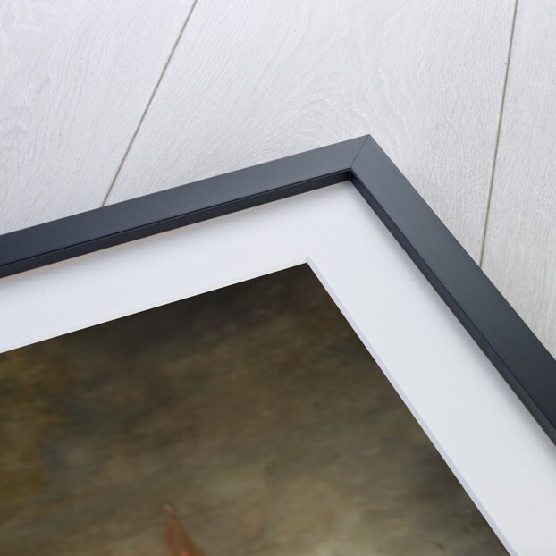 The Siege of Magdeburg, 1631, 1650 by Anonymous