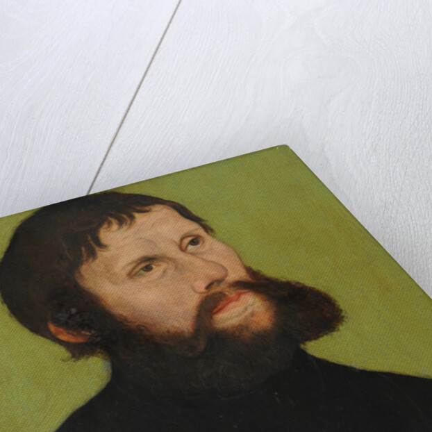 Portrait of Luther as Junker Jörg, 1521 by Anonymous
