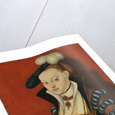 Portrait of Christiane of Eulenau, 1534 by Anonymous