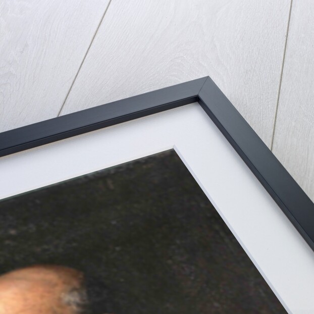 Portrait of the architect Andrea Palladio, 16th century by Anonymous