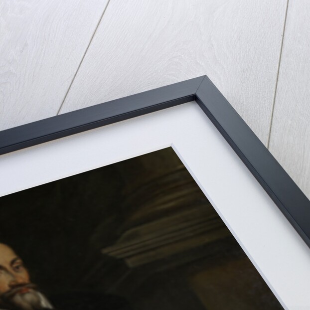 Portrait of Conte Mario Capra, 16th century by Anonymous