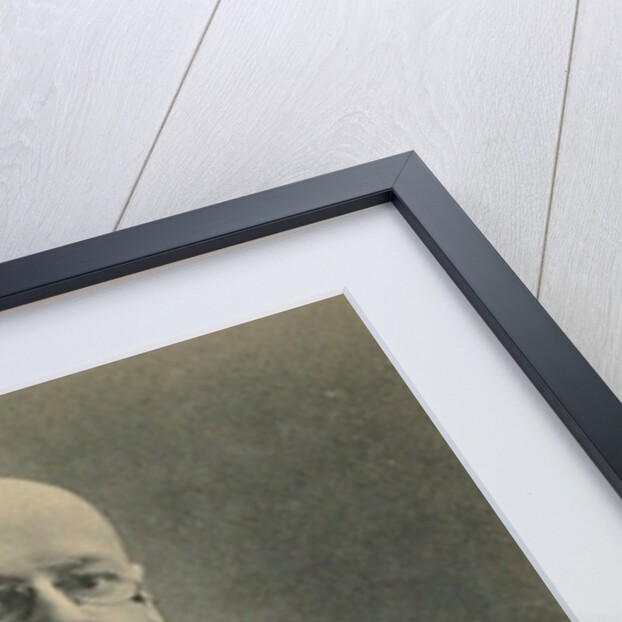 Vladimir Mitrofanovich Purishkevich by Anonymous