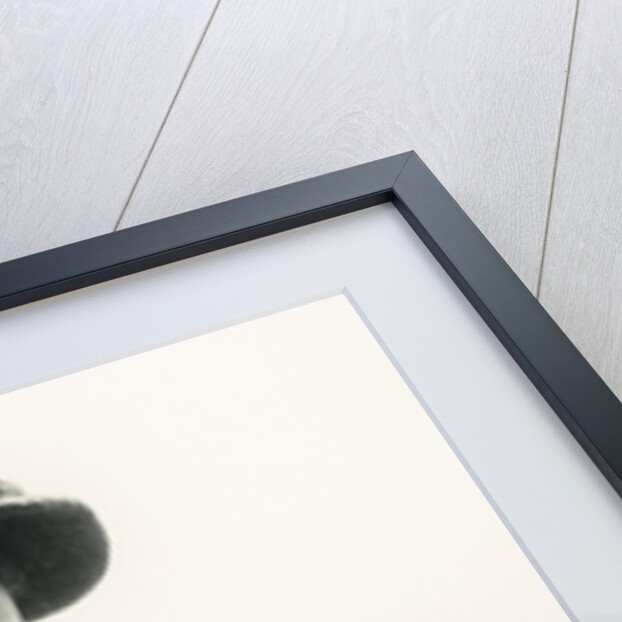 Joseph Stalin and Nikita Khrushchev, May 1, 1932, 1932 by Anonymous