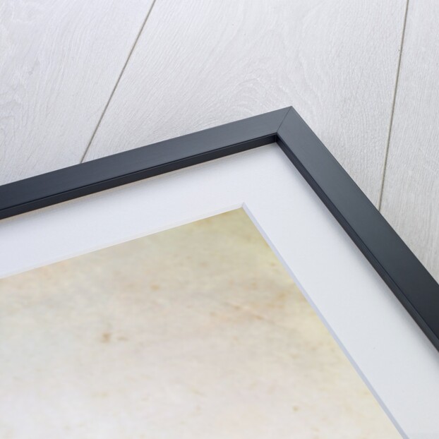 Portrait of Jacopo Peri. Costume design of Arion in the 5th Intermedio of La Pellegrina, by Anonymous