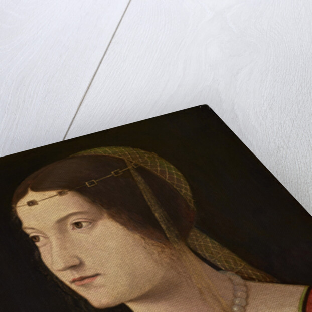 Portrait of a young Lady, c. 1500 by Anonymous