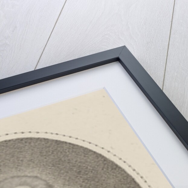 Portrait of the composer Johann Georg Albrechtsberger, c. 1800 by Anonymous