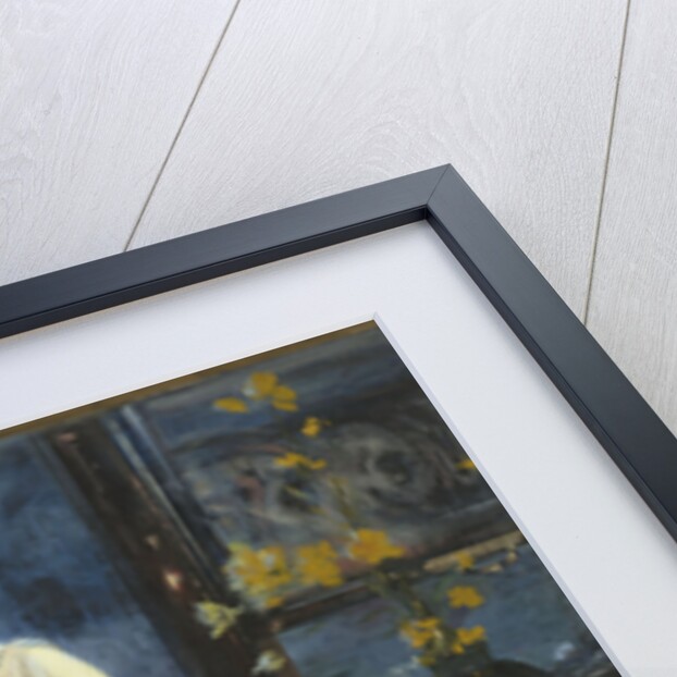 Madame Roger Jourdain, 1886 by Anonymous