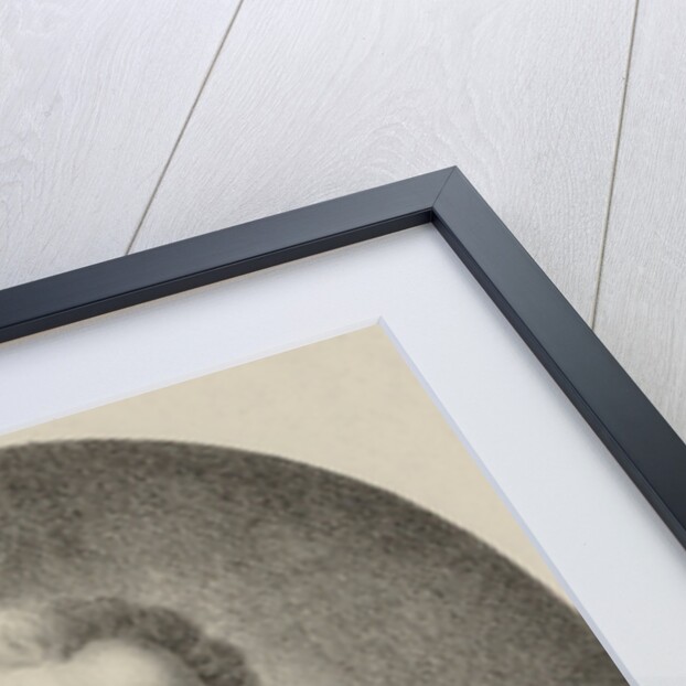 Portrait of the composer Ercole Bernabei, 1816 by Anonymous