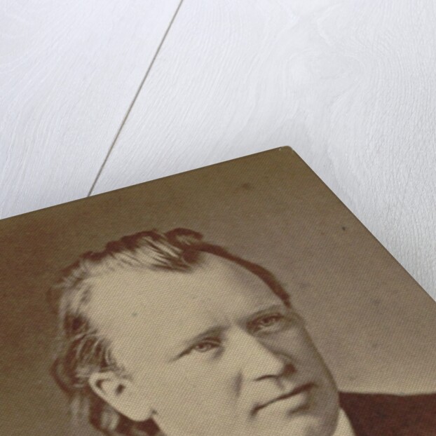 Portrait of the composer Johannes Brahms, 1875 by Anonymous