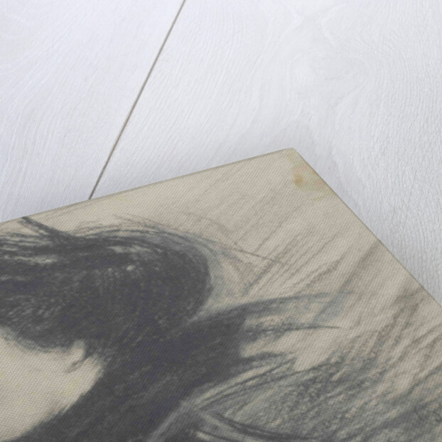 Portrait of the opera singer Lina Cavalieri, c.1901-1902 by Anonymous